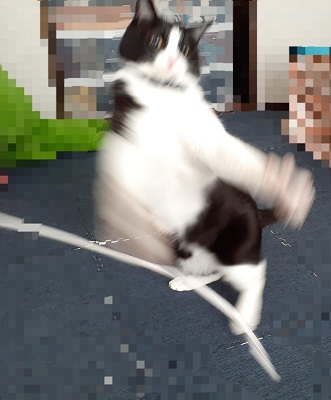 f:id:sakuraneko358:20200217224625j:plain