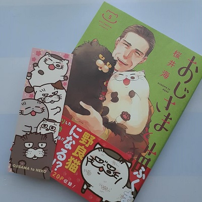 f:id:sakuraneko358:20200620224006j:plain