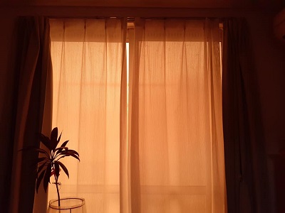 f:id:sakuraneko358:20200821232034j:plain
