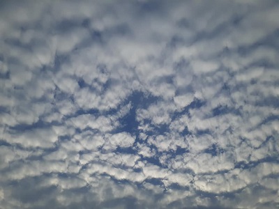 f:id:sakuraneko358:20200909001642j:plain