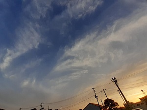 f:id:sakuraneko358:20200928233320j:plain