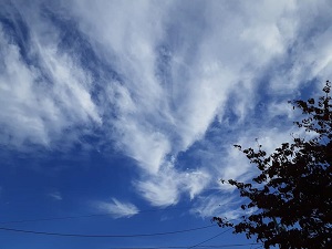 f:id:sakuraneko358:20201022001240j:plain