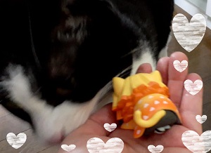 f:id:sakuraneko358:20201213005039j:plain