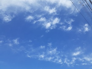 f:id:sakuraneko358:20210327234256j:plain