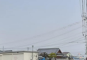 f:id:sakuraneko358:20210330232347j:plain