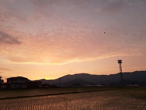 f:id:sakuraneko358:20210702000405j:plain