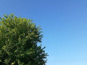 f:id:sakuraneko358:20210821000856j:plain