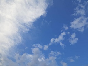 f:id:sakuraneko358:20210921235451j:plain