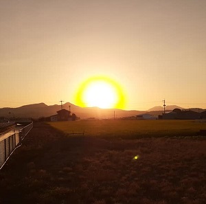 f:id:sakuraneko358:20211005231702j:plain