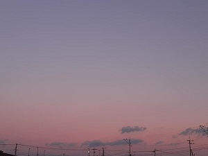f:id:sakuraneko358:20220106231729j:plain
