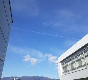 f:id:sakuraneko358:20220107232236j:plain