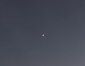 f:id:sakuraneko358:20220107232320j:plain