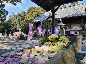 f:id:sakuraneko358:20220117235544j:plain
