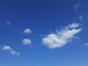 f:id:sakuraneko358:20220131233746j:plain