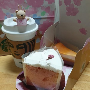 f:id:sakuraneko358:20220219001933j:plain