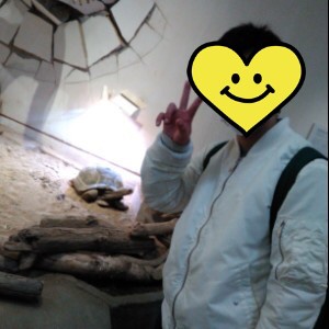 f:id:sakuranoki_day:20220404150543j:plain