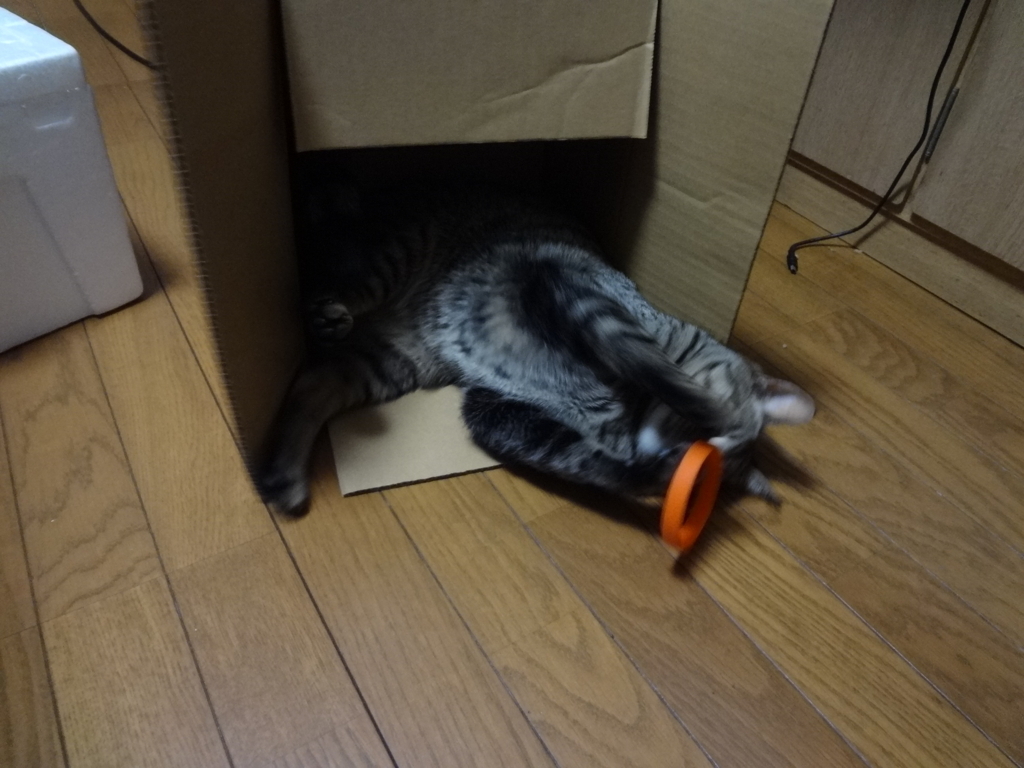 f:id:sakuranomikoto:20180124120849j:plain f:id:sakuranomikoto:20180124120849j:plain