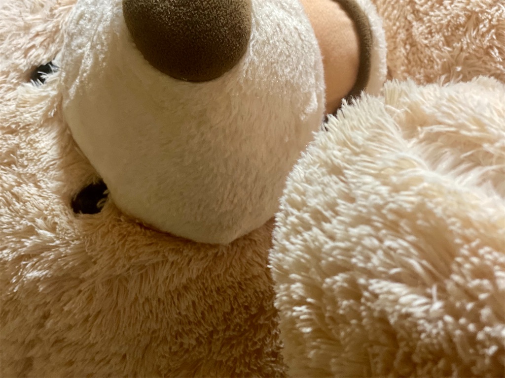 f:id:sakuraofficial:20210614053023j:image f:id:sakuraofficial:20210614053023j:image