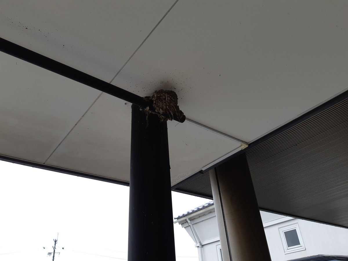 f:id:sakurarove:20201024213115j:plain