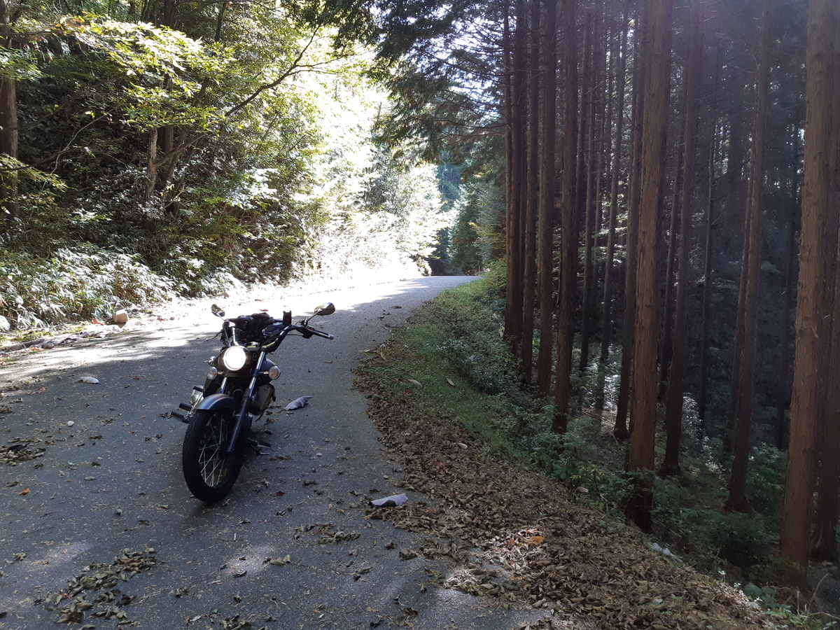f:id:sakurarove:20201102115910j:plain