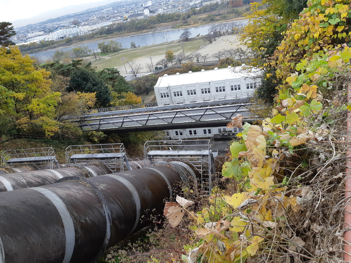 f:id:sakurarove:20201122084347j:plain