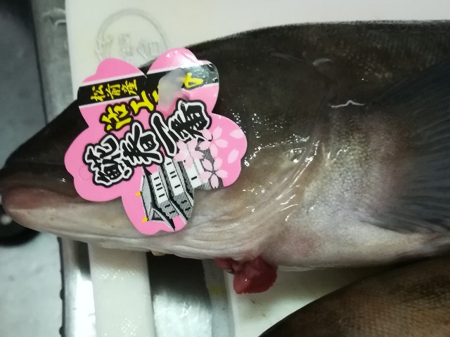 f:id:sakurashrimp26:20180403220616j:image f:id:sakurashrimp26:20180403220616j:image