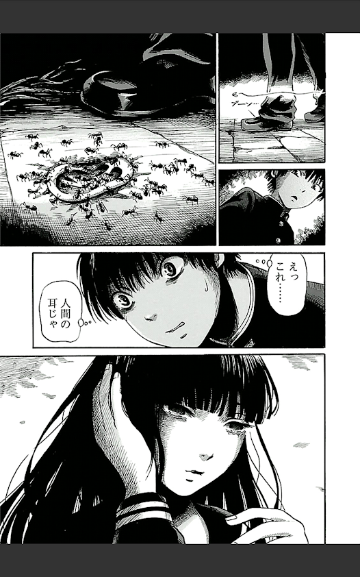 f:id:sakuratei2570:20190203043328p:plain f:id:sakuratei2570:20190203043328p:plain