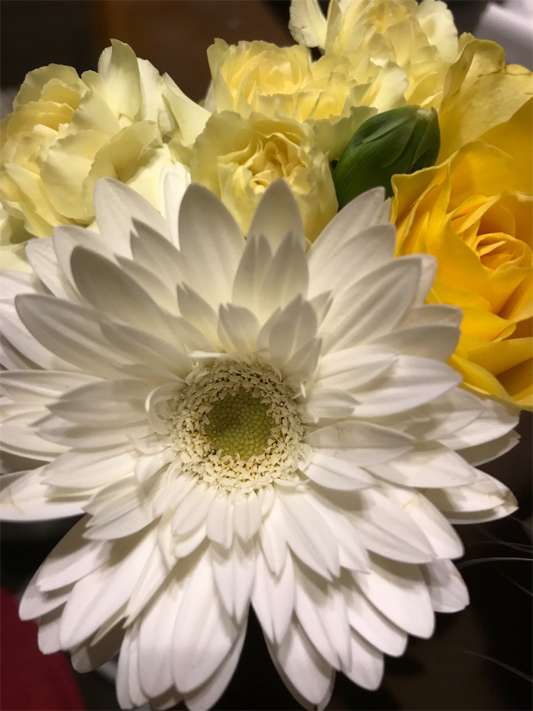 f:id:sakuraya225:20180316231643j:image f:id:sakuraya225:20180316231643j:image