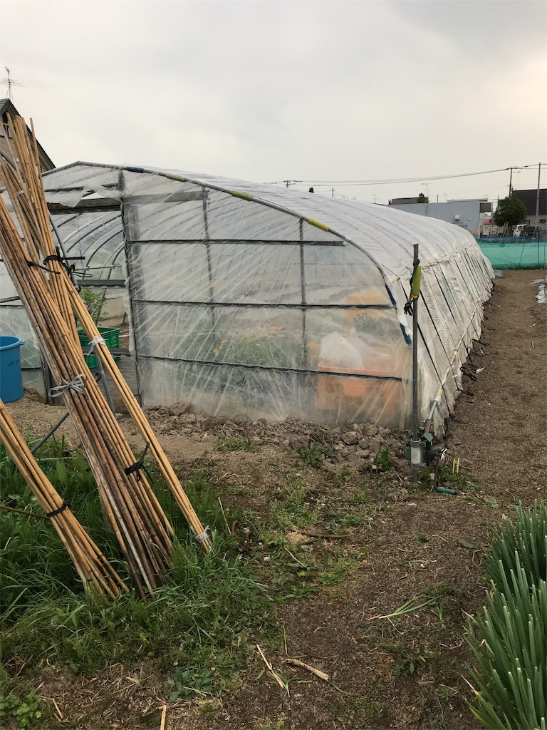 f:id:sakuraya225:20190607010312j:image f:id:sakuraya225:20190607010312j:image