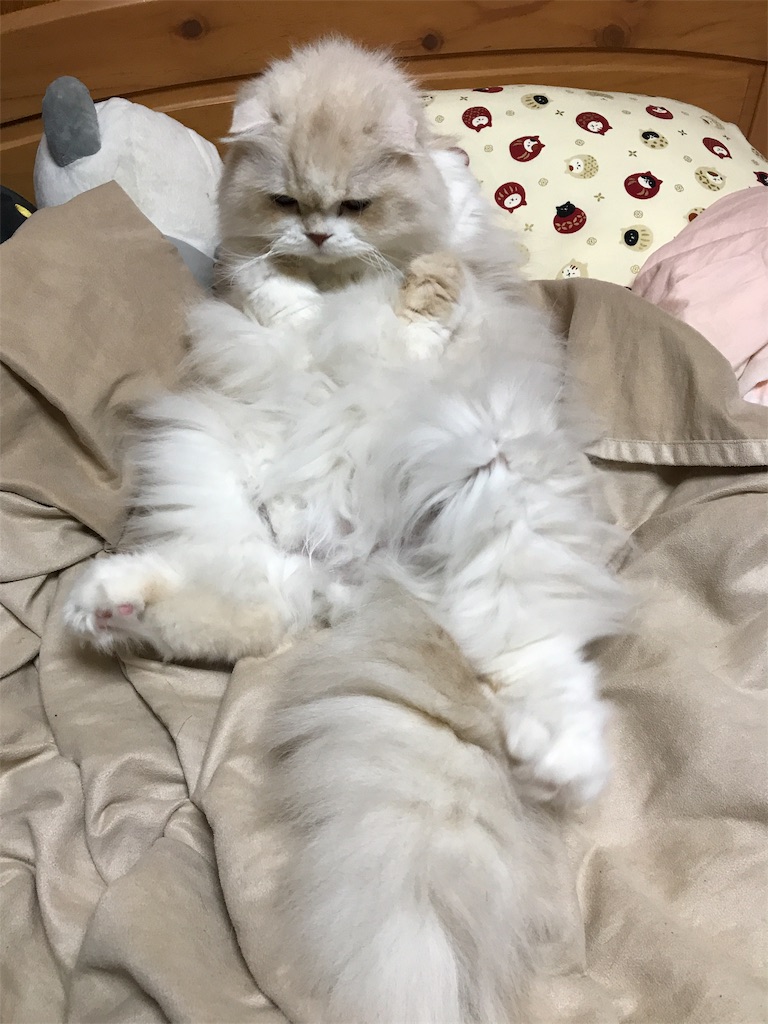 f:id:sakuraya225:20190704182908j:image f:id:sakuraya225:20190704182908j:image