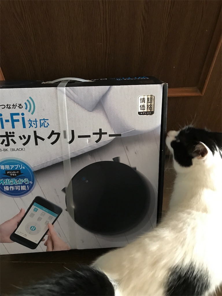 f:id:sakuraya225:20190728083436j:image f:id:sakuraya225:20190728083436j:image