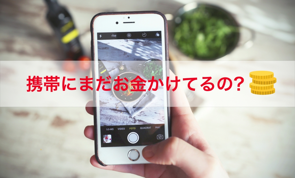 f:id:sakurayamashiro:20161228182853j:plain f:id:sakurayamashiro:20161228182853j:plain