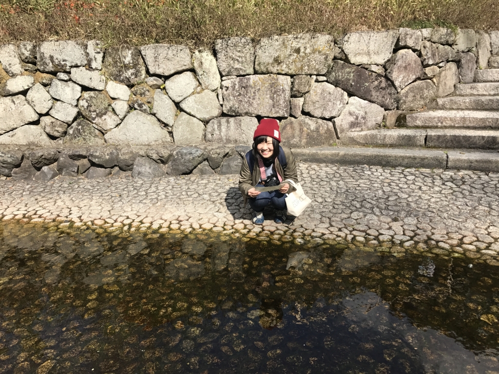 f:id:sakurayamashiro:20170404120141j:plain f:id:sakurayamashiro:20170404120141j:plain