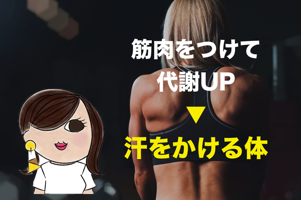 f:id:sakurayamashiro:20170709213611j:plain f:id:sakurayamashiro:20170709213611j:plain