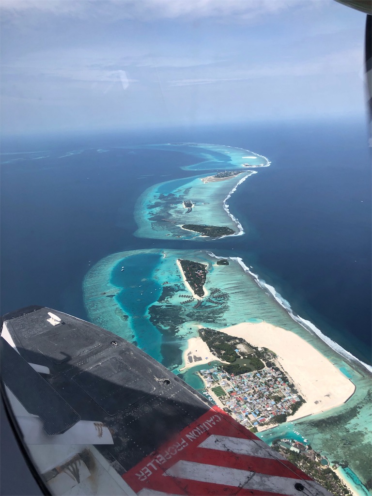 f:id:sakurayard:20191103231004j:image f:id:sakurayard:20191103231004j:image