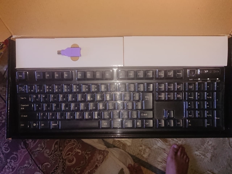 本体