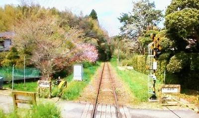 f:id:sakusaku-2:20210504130342j:plain