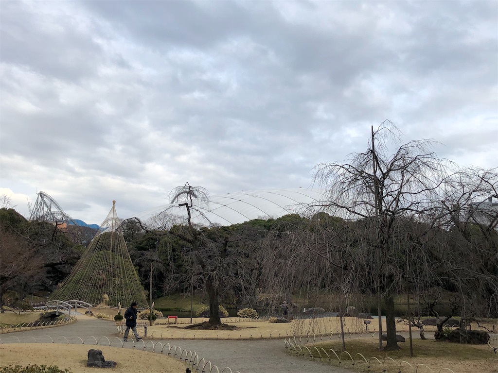 f:id:sakusaku-happy:20190107192043j:image