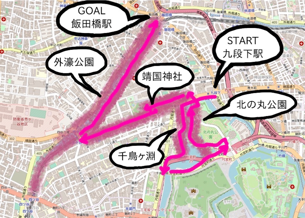 f:id:sakusaku-happy:20190319151205j:image