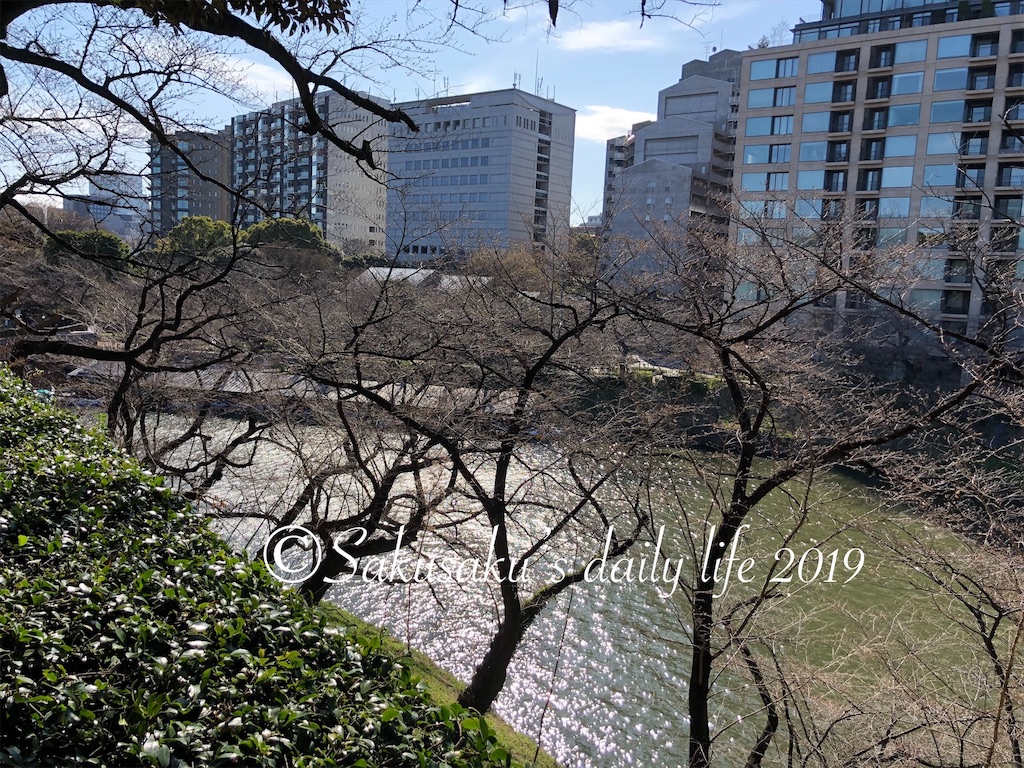 北の丸公園から見た千鳥ヶ淵2