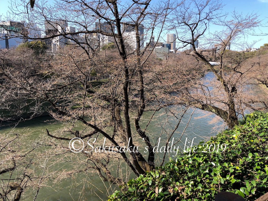 北の丸公園から見た千鳥ヶ淵1