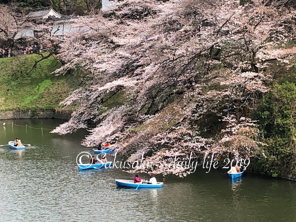 f:id:sakusaku-happy:20190326110349j:image 千鳥ヶ淵緑道靖国通り側の桜