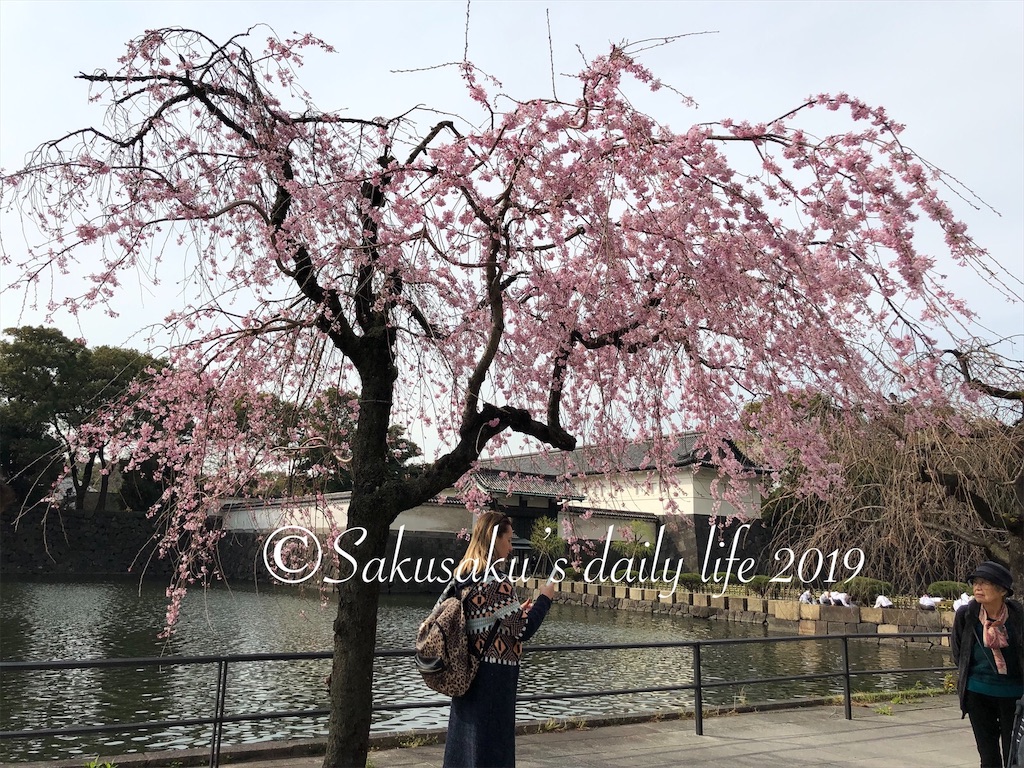 f:id:sakusaku-happy:20190326110352j:image 皇居東御苑大手門前のシダレザクラ