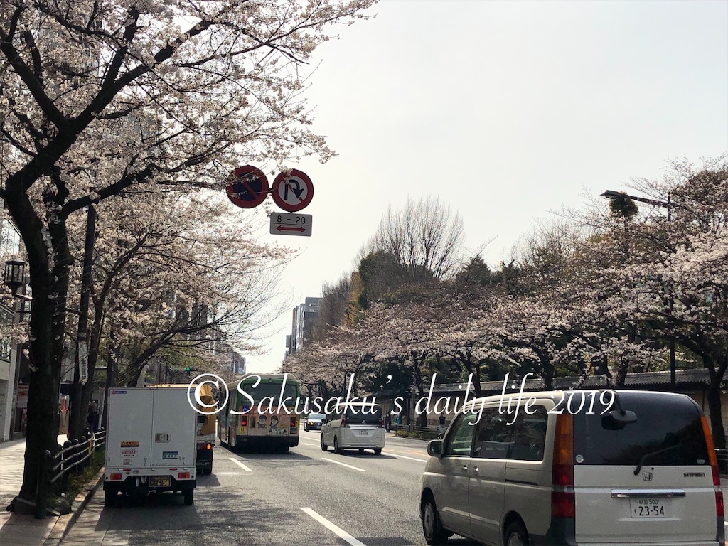 靖国通り　桜並木