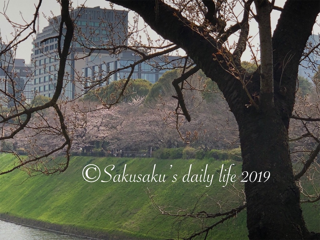 f:id:sakusaku-happy:20190326110405j:image 代官町通りから見る千鳥ヶ淵公園の桜
