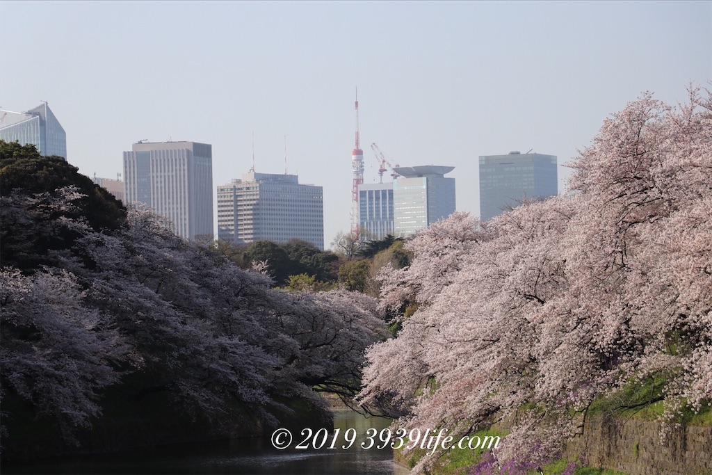 f:id:sakusaku-happy:20190409090321j:image f:id:sakusaku-happy:20190409090321j:image
