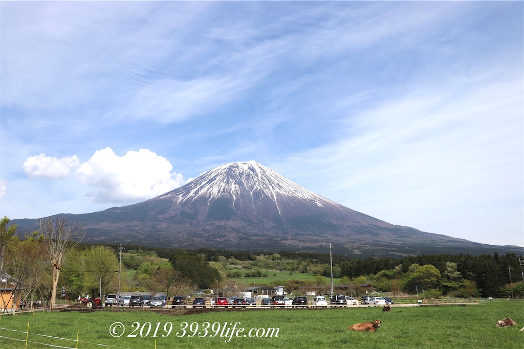 f:id:sakusaku-happy:20190509193214j:image f:id:sakusaku-happy:20190509193214j:image