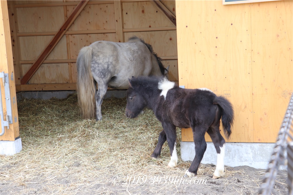 f:id:sakusaku-happy:20190509193223j:image f:id:sakusaku-happy:20190509193223j:image