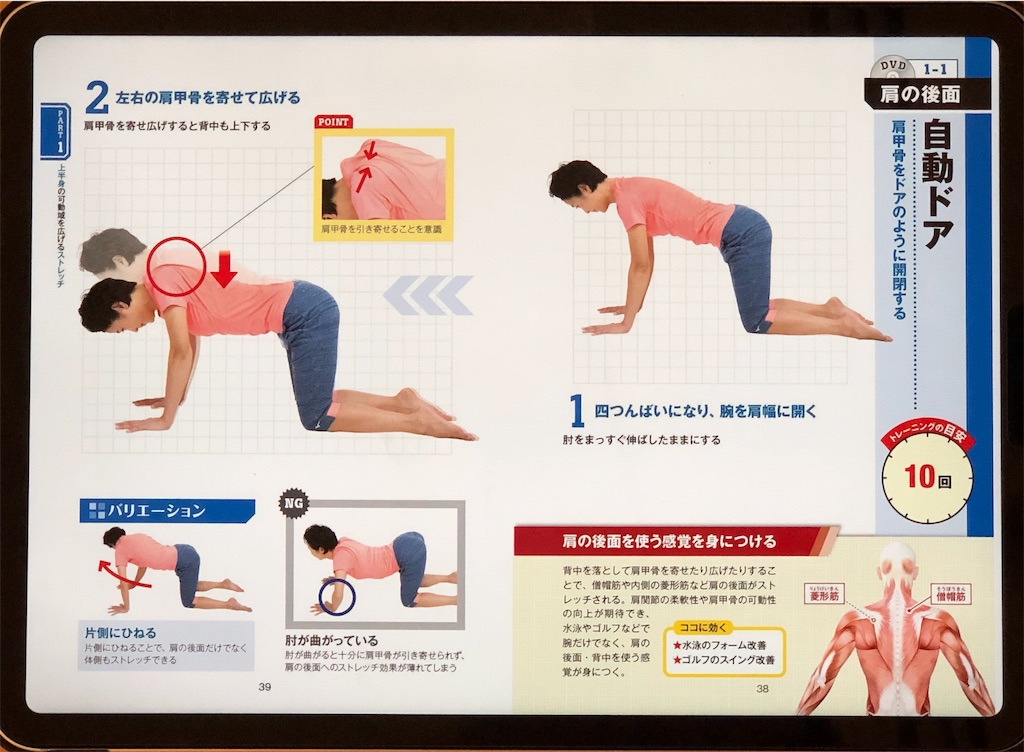 f:id:sakusaku-happy:20190720204452j:image