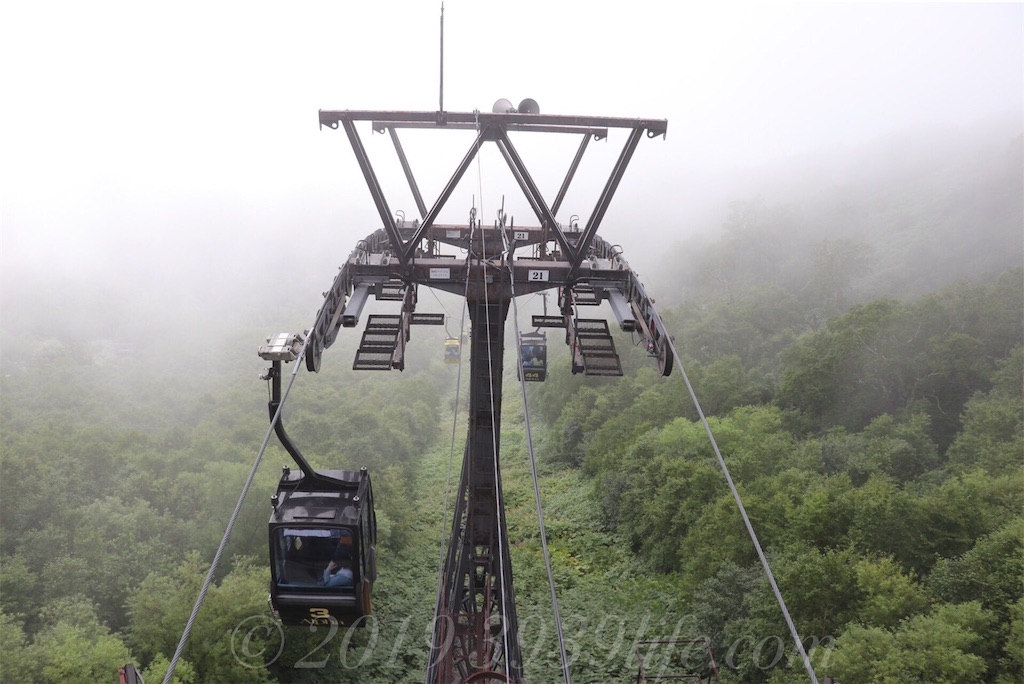 f:id:sakusaku-happy:20190819120523j:image